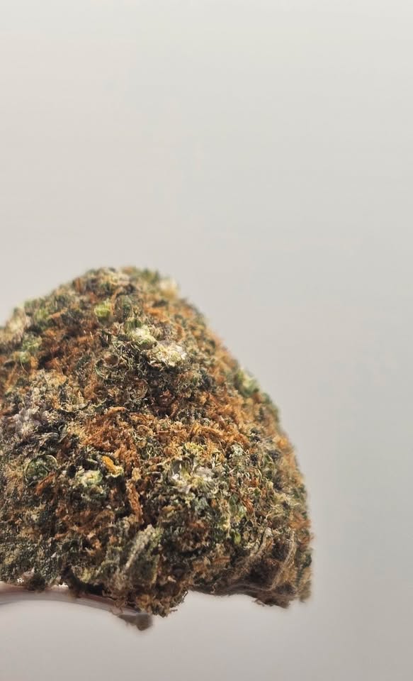 CBD Bienfaits : Effets, avantages et usages du cannabidiol en 2026