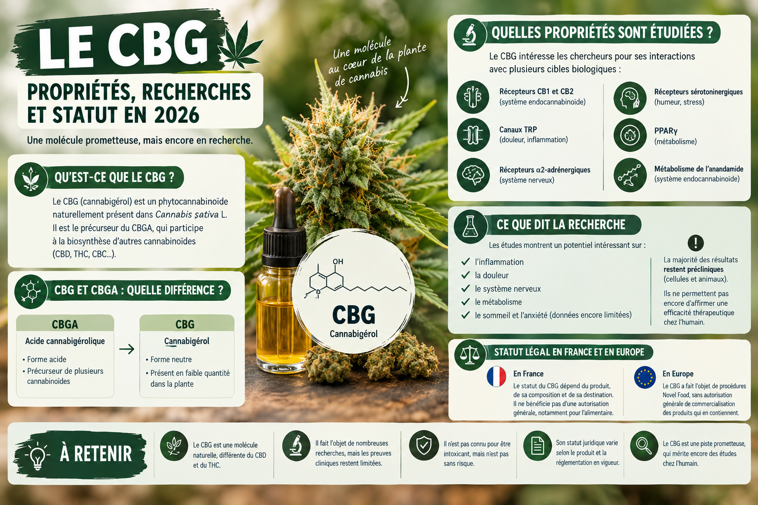 CBG : propriétés, recherches et statut en 2026